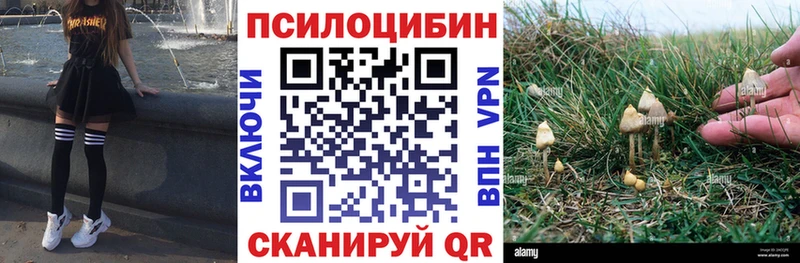 Псилоцибиновые грибы Psilocybe Белый